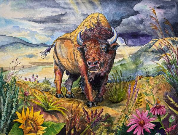 Watercolor painting of a bison on a prairie with culturally significant prairie plant species in the foreground