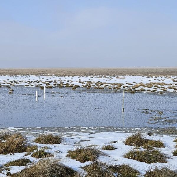 a shallow lake with white pipes sticking out on the right and a yellow rod on the left