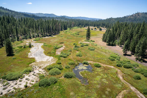 Above ground view taken from drone camera of Ackerson Meadow, Yosemite National Park