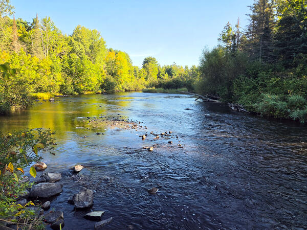 Namekagon River