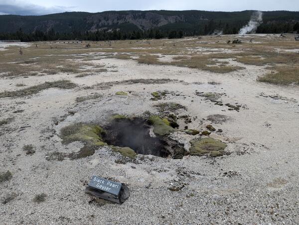 Dark hole in the ground in a barren landscape with some moss, and a tree-covered ridge in the background under cloudy skies