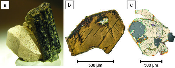 Hand sample of a dark, cylindrical mineral along with microscope sections of that mineral showing a hexagonal cross section