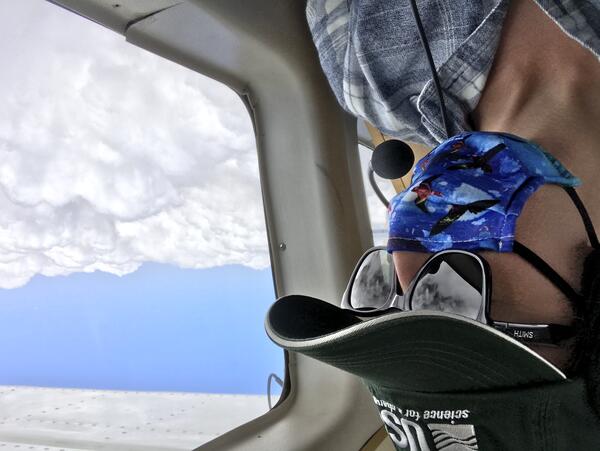 Person wearing a face mask with birds on it looks through the window of a plane at fluffy clouds
