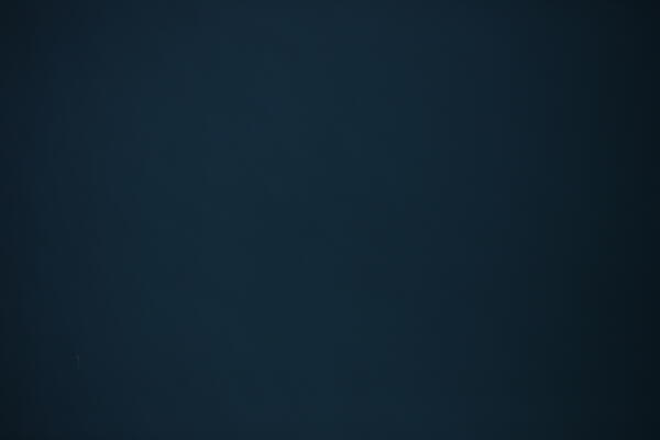 Aerial view of a shark, very small, viewed at great distance