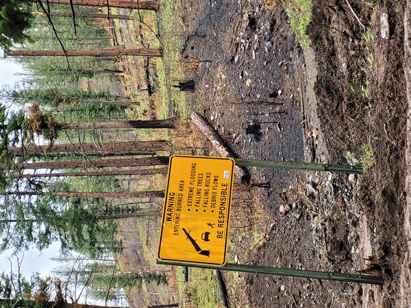 a burned area warning sign in foreground and partially burned trees on a hillslope in the background