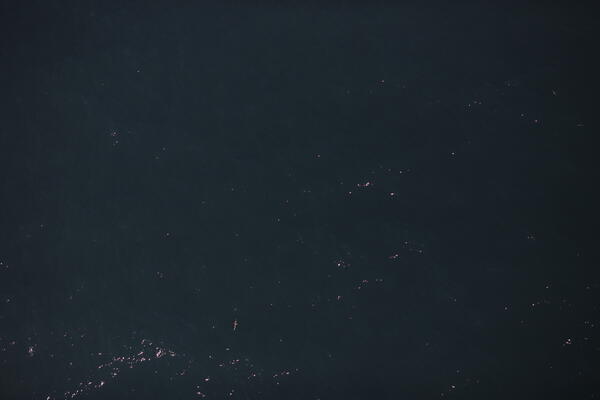 Aerial view of the ocean with tiny seabirds visible