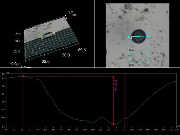 Plane light optical microscope image of a monazite grain with a 15 µm laser crater