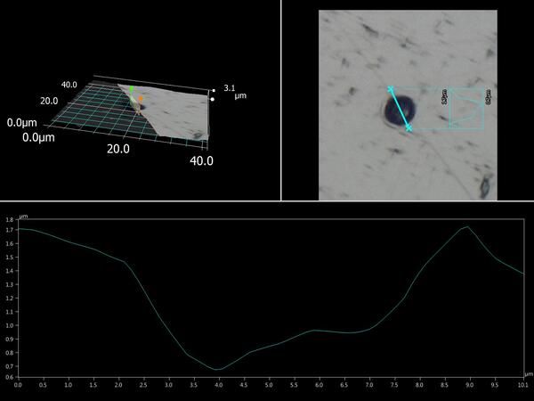 Plane light optical microscope image of a monazite grain with a 5 µm laser crater