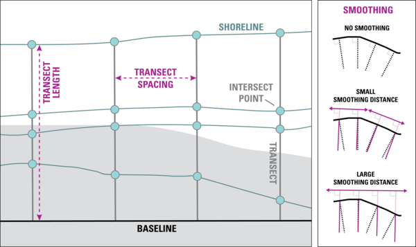diagram showing transect lines on a shoreline