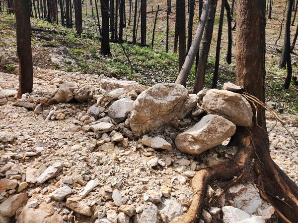 linear deposit of rocks and boulder resting against a tree