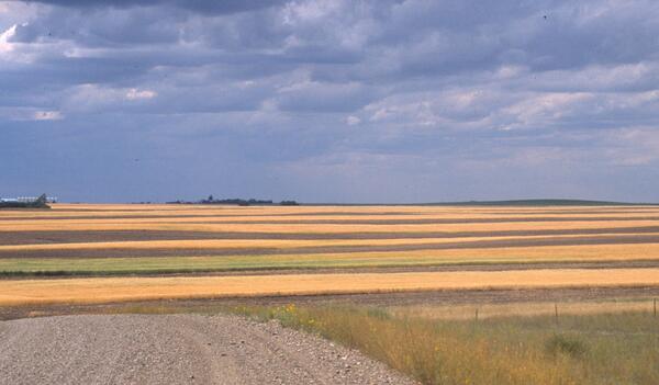 A cloudy sky above farmland striped with crops and dirt and a gravel road in one corner