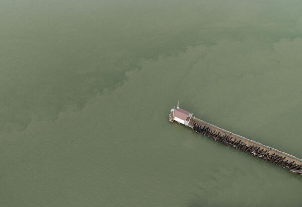 A drone view of where scientists with the U.S. Geological Survey gathered shellfish samples collected at Martinez Harbor, Con