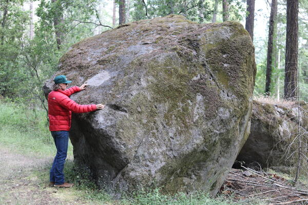  A man in a red jacket stands beside a large moss-covered boulder in a lush forest, surrounded by tall trees and greenery.