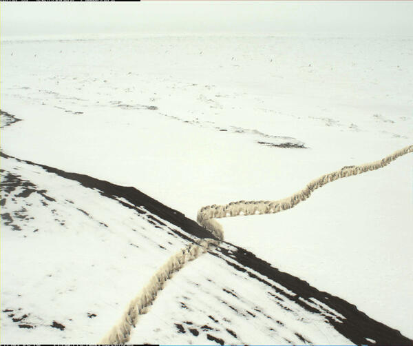 A composite of 10 minutes of 2Hz images taken by a coastal camera at Nuvuk, Alaska, showing a polar bear on sea ice