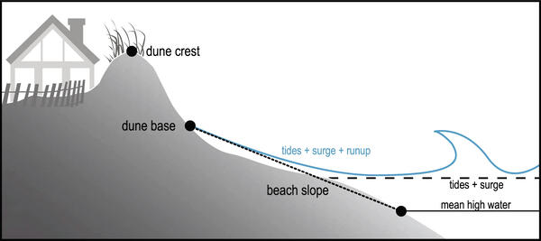 An illustration of a typical beach system with beach, dune base and dune crest.