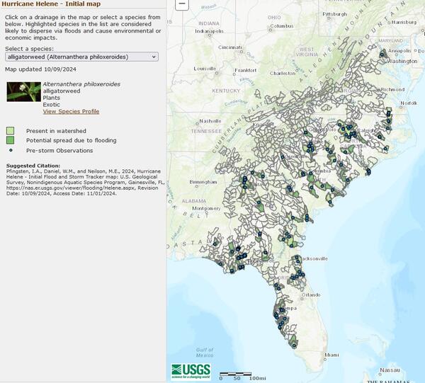 USGS map of the potential spread of alligatorweed to new locations in Florida and Georgia following Hurricane Helene