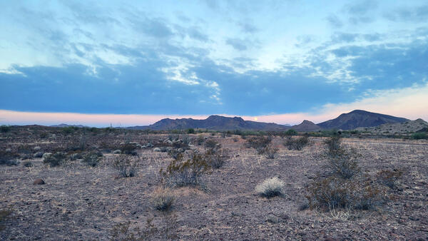 An expanse of low desert with shrubs and mountains in the distance in Cabeza Prieta National Wildlife Refuge