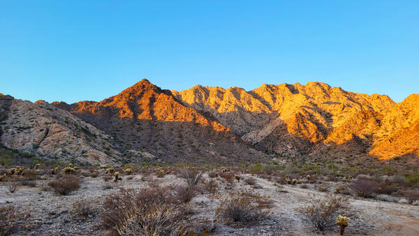 A mountain range above low desert in southern Arizona's Cabeza Prieta National Wildlife Refuge