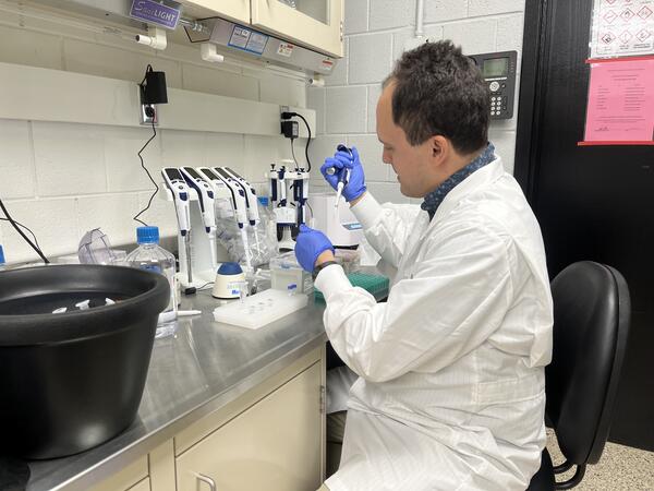Researcher in a white lab coat sits at a bench in a laboratory using pipettes. 