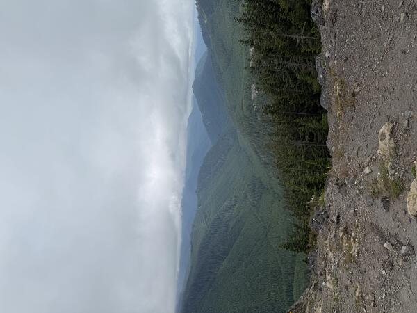 Barren ground in the foreground, with forested hills under cloudy sky in the background