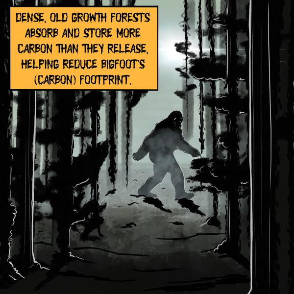 A dark and misty illustration of an ape-like creature walking upright through an old-growth forest.
