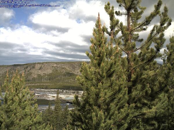 A geyser basin and hill in the distance, with pine trees in the foreground, under a mostly cloudy sky