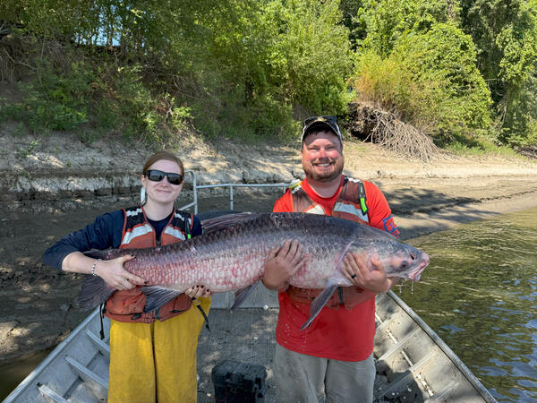 scientists holding a black carp in a boat