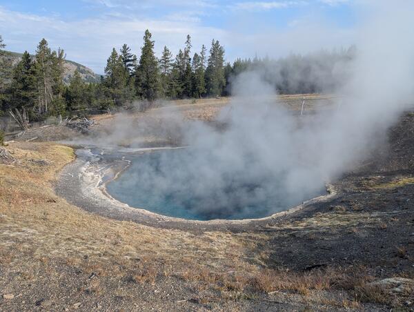 Steaming blue-water hot spring in a small depression surrounded by dry grass.  Pine trees in the background under blue sky.