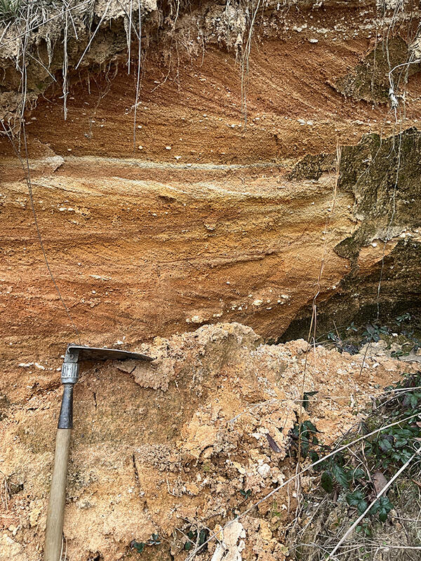 An orange and yellow outcrop of Cretaceous sand and gravel with a digging tool propped up against a bank
