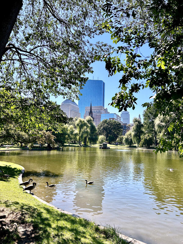 Boston Public Garden Lagoon, Massachusetts — Urban Surface‑Water Feature