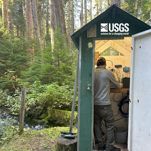 man in grey stands in a dark-green tall, narrow rectangular wooden gage house in the forest 