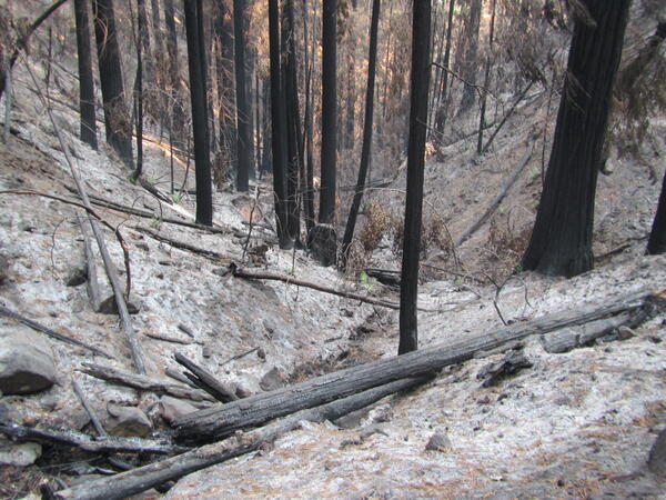 Photo of wildfire-burned hillslopes shedding sediment