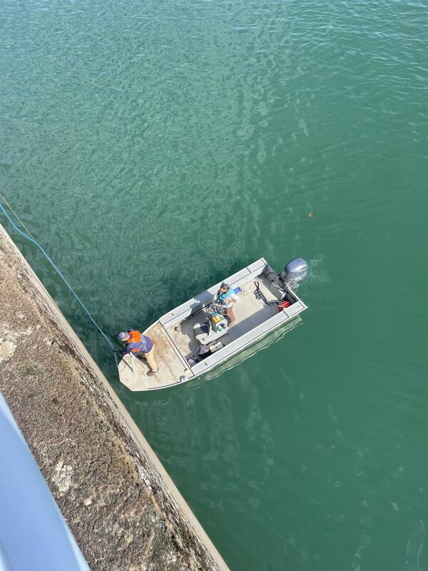 photo from above of boat in Shasta Reservoir, CA