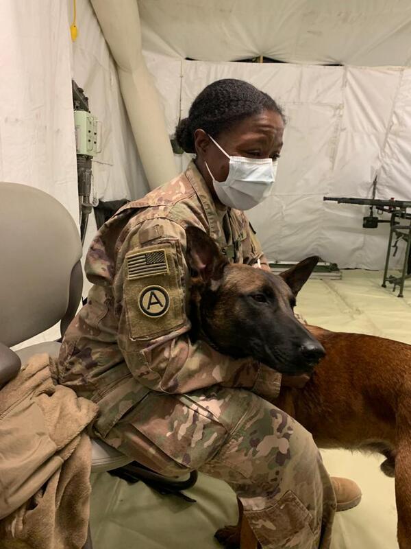 Camille Hopkins holds a military working dog.