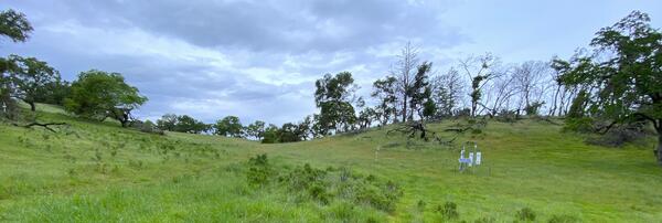 CRNS monitoring station in a meadow with scattered trees and under cloudy sky.