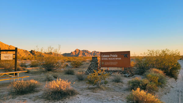 The USFWS sign that says Cabeza Prieta National Wildlife Refuge at the entry to the Refuge, in the Sonoran Desert