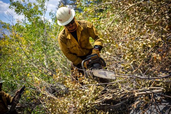 Man using a chain saw 