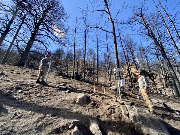 people standing on hillslope that is covered with burned trees and boulders