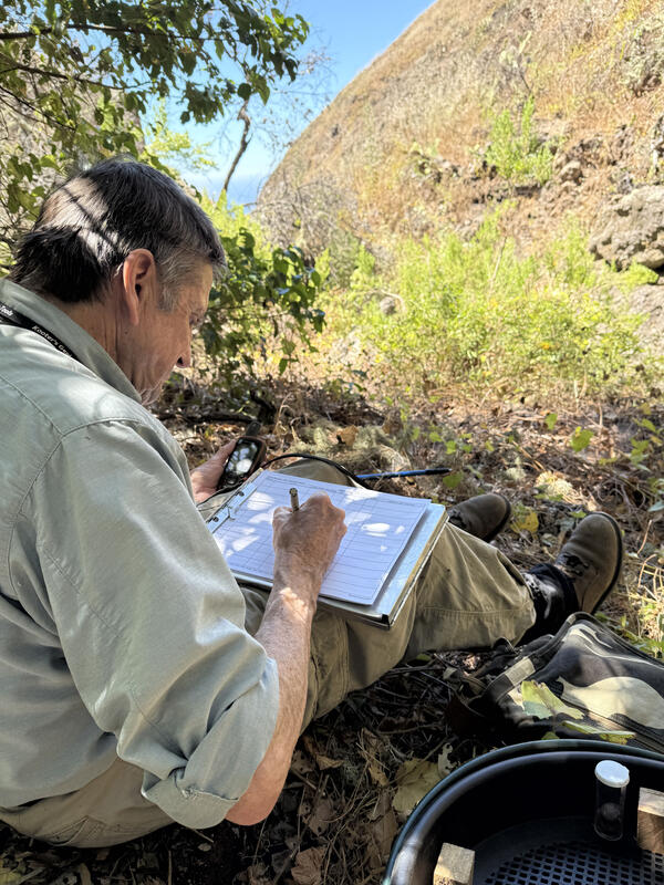 Scientist Charles Drost records data on a sheet on San Clemente Island during population monitoring fieldwork