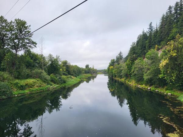 River with green banks