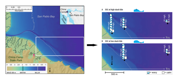 Maps showing China Camp Marsh study area with inset showing suspended sediment measurements