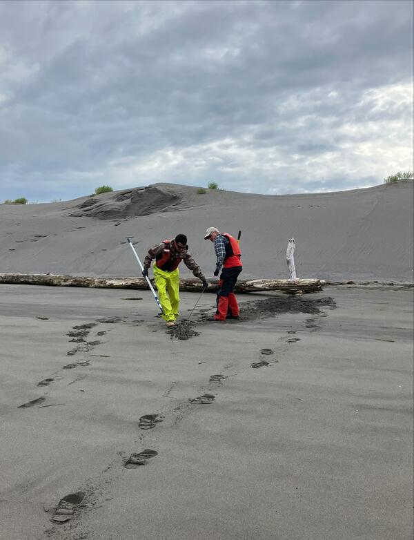Two scientists unearth the buried cable tethering an acoustic receiver to shore in the Columbia River