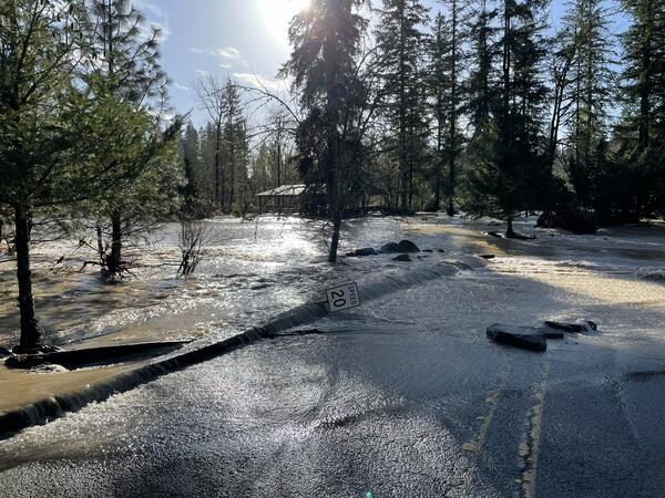 water flows past trees, a downed speed limit sign, and over the road. Large rocks deposited on roadway. 