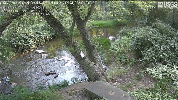 Looking down a hillside stair to a wooded river below