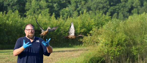 A man in a blue shirt, blue gloves, and glasses releases two ducks