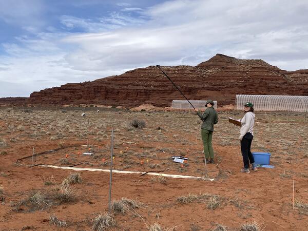 Two people do vegetation sampling in red rocky landscape