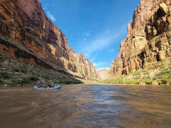A woman guides a river raft using oars on the red sediment filled Colorado River, with canyon walls on either side