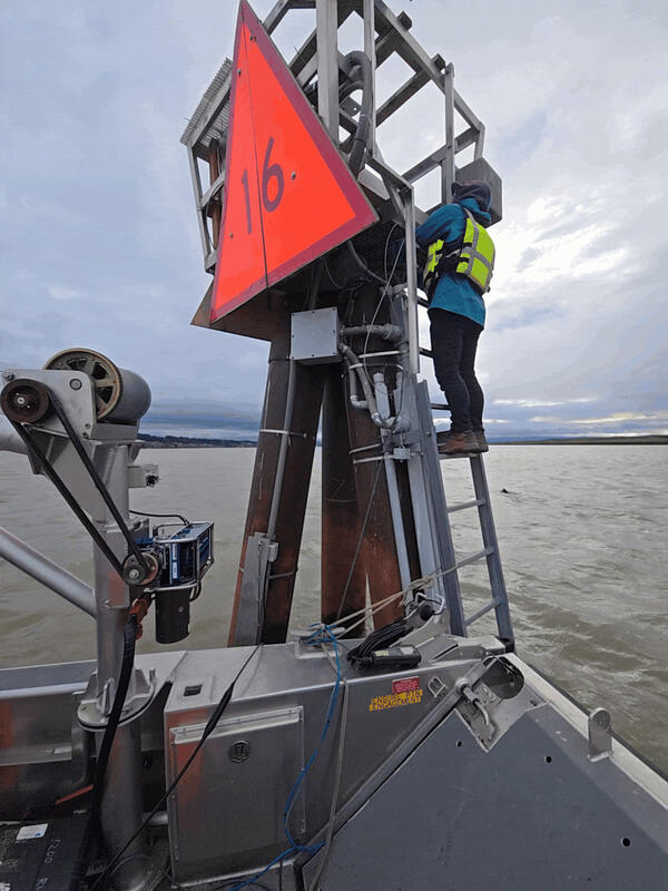 A technician climbs a steal dolphin to access gage equipment from a boat