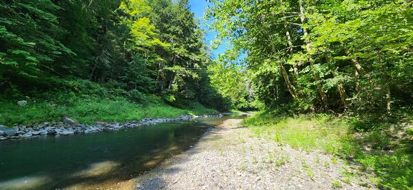 A drier stream bed in the summer. 