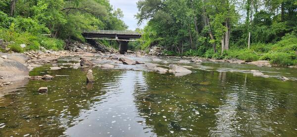 A river bed with low flows and exposed rocks during the summer. 